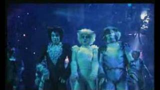 A Boy Without A Girl