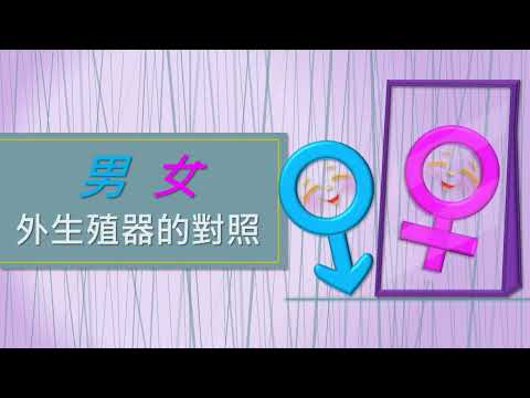 男女生殖器