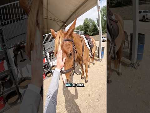 I felt so bad waking him up from his cute lil nap🥺🥺 #farmlife #fyp #pov #grwm #tackup