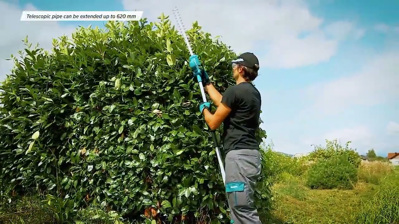 Taille haie à perche 46cm + 2 batteries et un chargeur