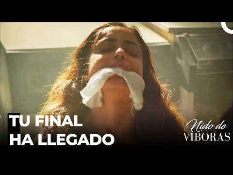 El Odio İnfinito De Elvan - Nido De Víboras