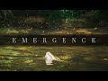 EMERGENCE | Summer Fly Fishing on the White River | 2023 IF4 Stimmie Nominee
