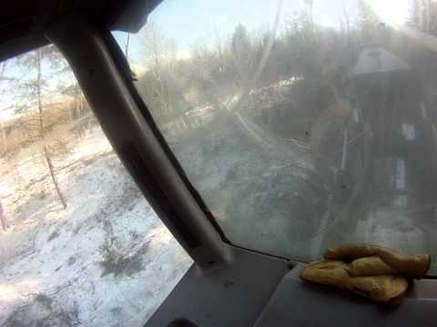 Skidder Girl - Uphill Hemlock Hitch