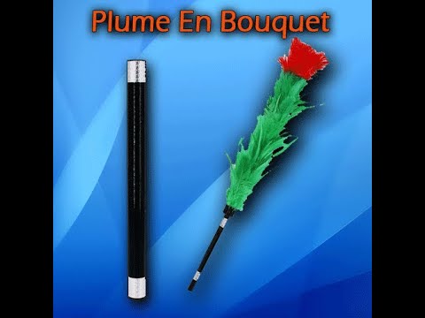 Voir la vidéo Plume En Bouquet