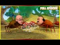 ️ சிலந்தி வலையில் சிக்கிய மோட்டு பட்�