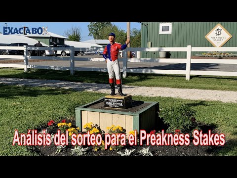 Análisis del sorteo de los puestos de pista en el #PreaknessStakes - EN VIVO