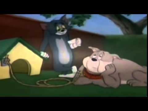Tom and jerry all episodes download zip Tom and jerry all episodes download zip