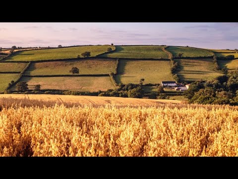 Sky News 190120 New UK Agriculture Bill to move away from old inefficient and overly bureaucratic CA