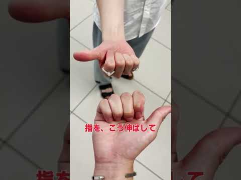 アエロドラマスについて詳しく解説