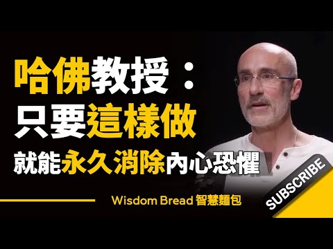 哈佛教授：只要這樣做，就能永久消除你內心的恐懼► 試試教授的這套方法 - アーサー・ブルックス博士 亞瑟． (哈佛教授：只要這樣做，就能永久消除你內心的恐懼 ► 試試教授的這套方法 - Dr. Arthur Brooks 亞瑟．布魯克斯（中英字幕）)
