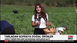 Lavanta ve Çilek Bahçesi Agro-Turizm Projesi - CNN TÜRK