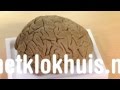 Het Klokhuis over hersenen!