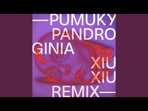 Pandroginia (Xiu Xiu Remix)