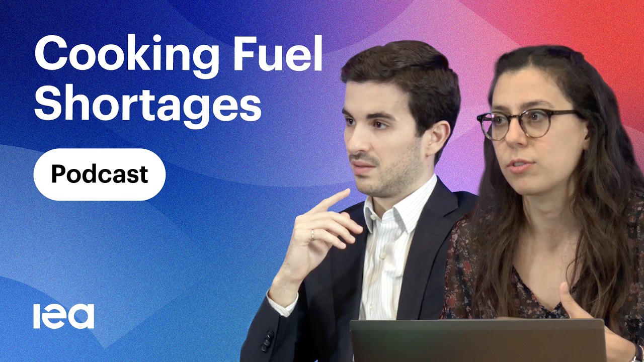 Podcast episode: The cooking fuel crisis