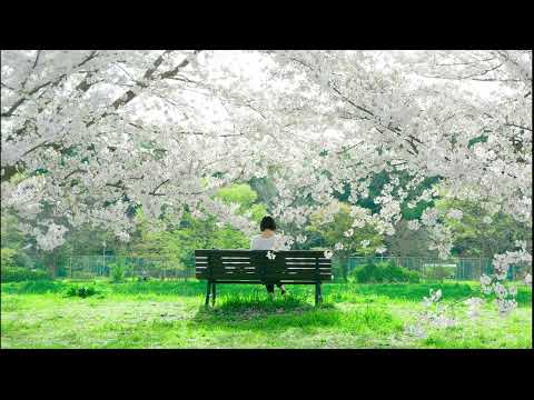 Dj Ekey - Spring - 2024