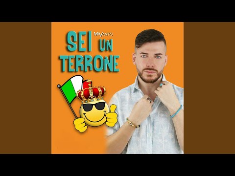 Sei un terrone