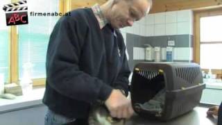 preview picture of video 'Tierarzt Dr. Georg Schweiger in Saalfelden im Pinzgau'