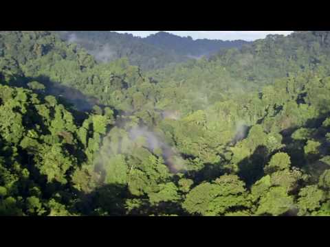 Beautiful Nature (720p HD) - Chill out music (Enigma)