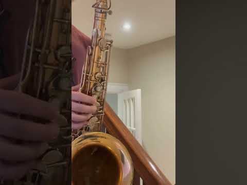 SML Rev D Tenor Saxophone - Permagold plated! image 12
