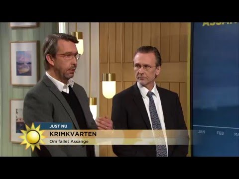 Krimkvarten med Hasse Aro: Vad händer med Assange? - Nyhetsmorgon (TV4)
