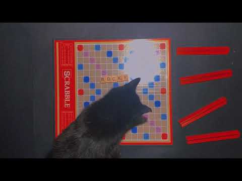 Common Nonsense - Better Now (Official Lyric Video)