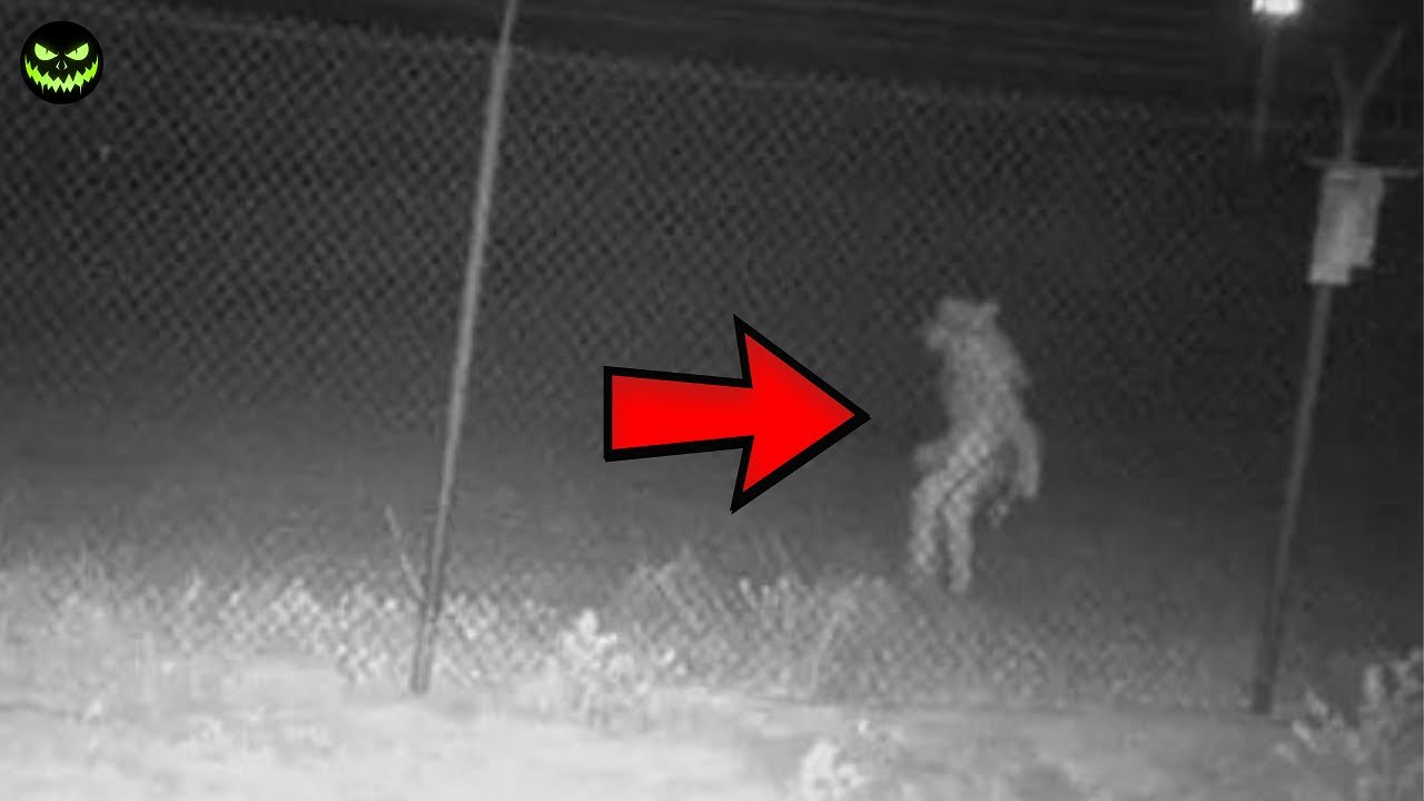 10 Scary Encounters with the Stranger that Defy Logic -Halloween Special 2024 🎃 Ep.2/4
