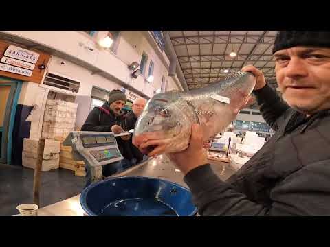 Izmir Buca Fish Market (Cat cat fatih) Minekop 4800gr Sold in a Case