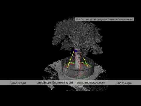 Laser Scanning of Boscobel Oak Tree for Tree Protection Works