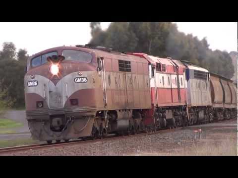 El Zorro grain train through Hamilton