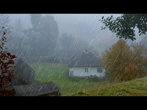 Try Listening for 15 Minutes and Sleep Immediately - Rain Sounds  in Foggy Forest - ASMR