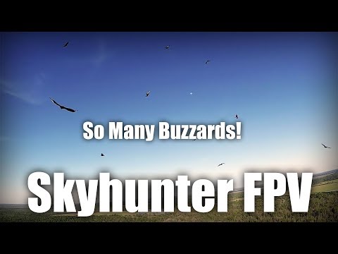 skyhunter-fpv--buzzards