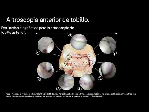 Rafael Alfonso López Ramírez-18