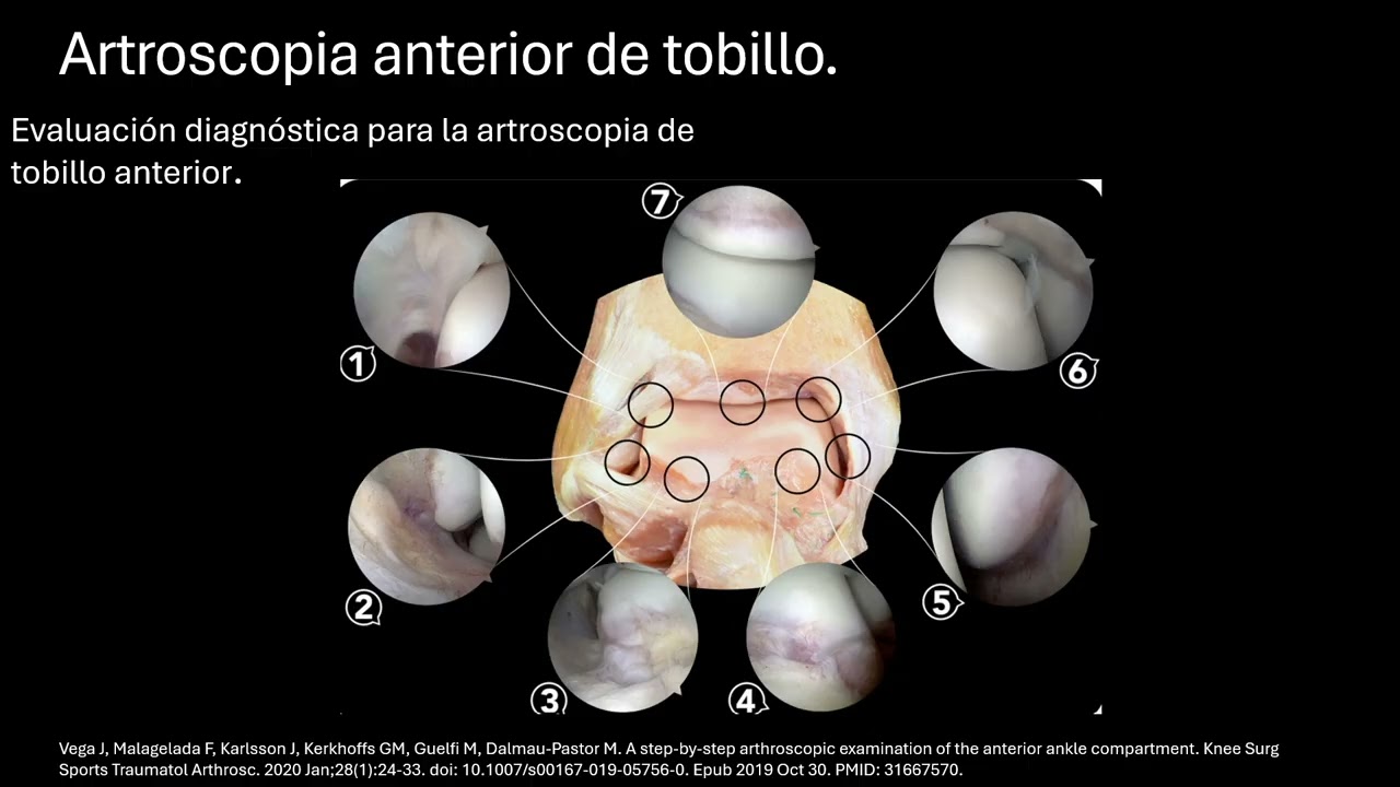 Rafael Alfonso López Ramírez-18