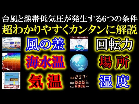 T.S. デルタ、2005 年 11 月 25 日午後 2 時 45 分(協定世界時)