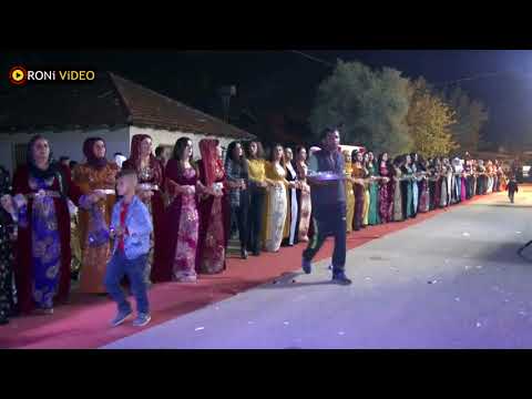 Koma Roni # Daweta Malbata alim # Roni Video