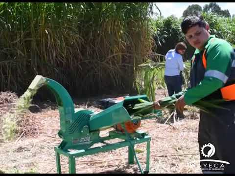 Funcionamiento PN Plus 2000