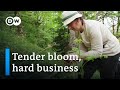 Snowdrops from Georgia | DW Documentary