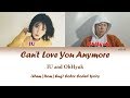 IU & OhHyuk - 'Can't Love You Anymore' - Color Coded Lyrics Video |Han-Rom-Eng| by makimaki
