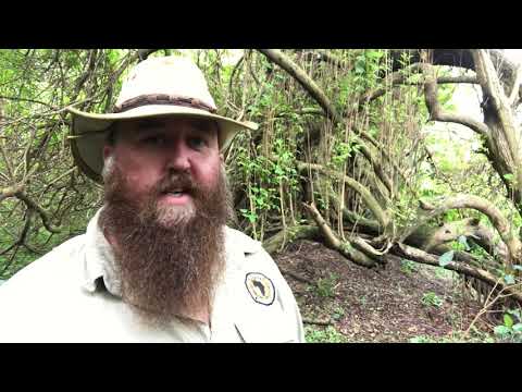 Introduction to Bespoke Adventure Specialists