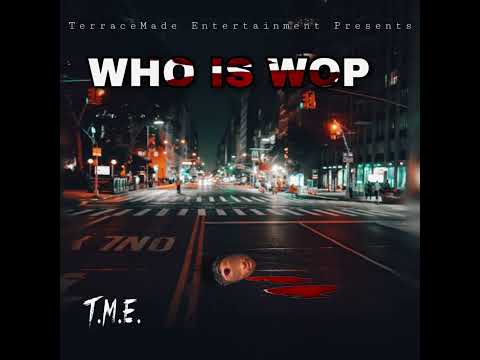 D-Z Animal WHO IS WOP diss (official audio