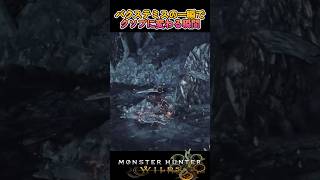 こんな片手剣使いは嫌だ【MHwilds】