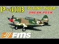FMS / DIAMOND HOBBY P-40 "FLYING TIGER ...