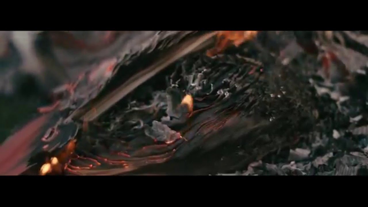 Cinematography Reel 2015