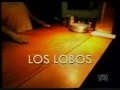 Los Lobos - Tin Can Trust