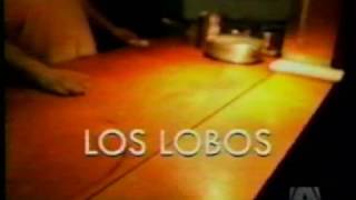 Los Lobos - Tin Can Trust