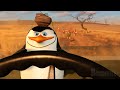 The Penguins Best Moments From Madagascar 2 4K