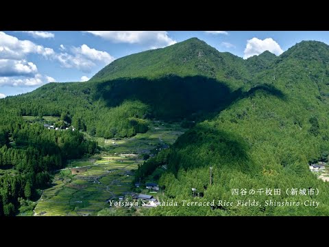 奥三河旅：四谷の千枚田・芝桜まつり・きららの森 Okumikawa Trip