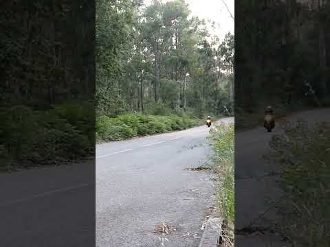 Thumbnail for 1974 BMW R90/6 Flyby Exhaust Sound by BMW