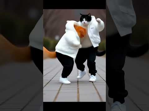 cats thabala dance #shorts #ytshorts #ytstudioes #dance #funny #trending #comedy