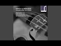 Duo for Violin & Cello in D Minor, Op. 7: II. Adagio
